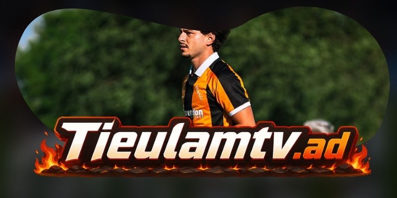 Gợi ý chốt kèo tổng hợp trận Coventry City vs Hull City ngày 29/08